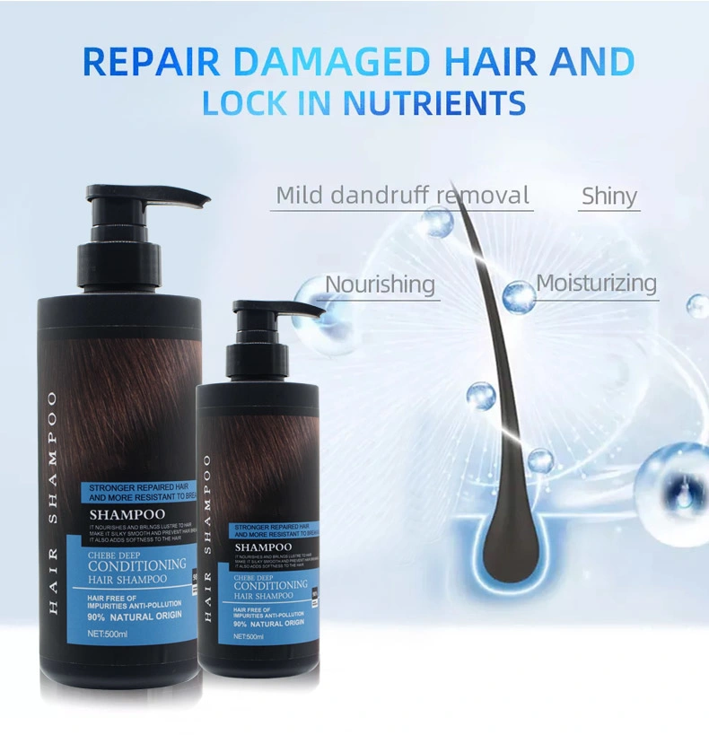 Cosmetics Hair Beauty Care for Moisturizing Cleansing Dandruff Salon Hair Shampoo