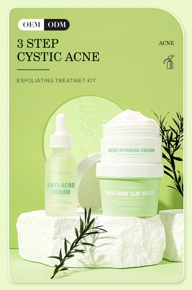 OEM/ODM Acne Remover Moisturizing Anti Aging Facial Skin Care Set for Acne